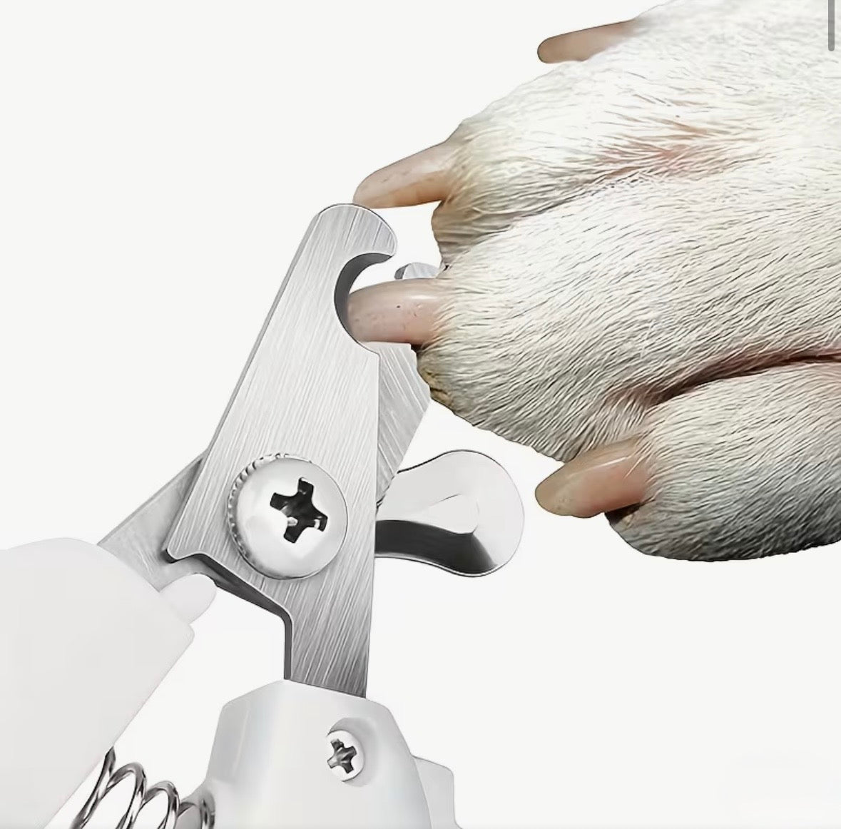 Claw Clipper | Nail Clipper | for Dogs & Cats