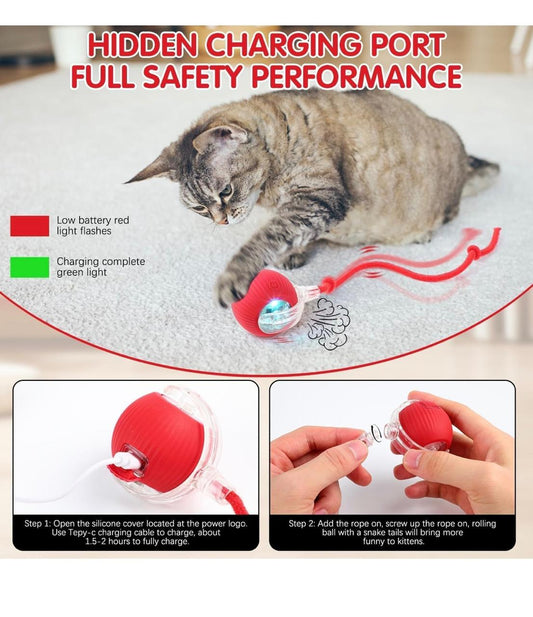 Interactive Cat Toys Ball, Automatic Cat Interactive Toy for Indoor Cats Fast Rolling on Carpet, Chirping & Motion Activate