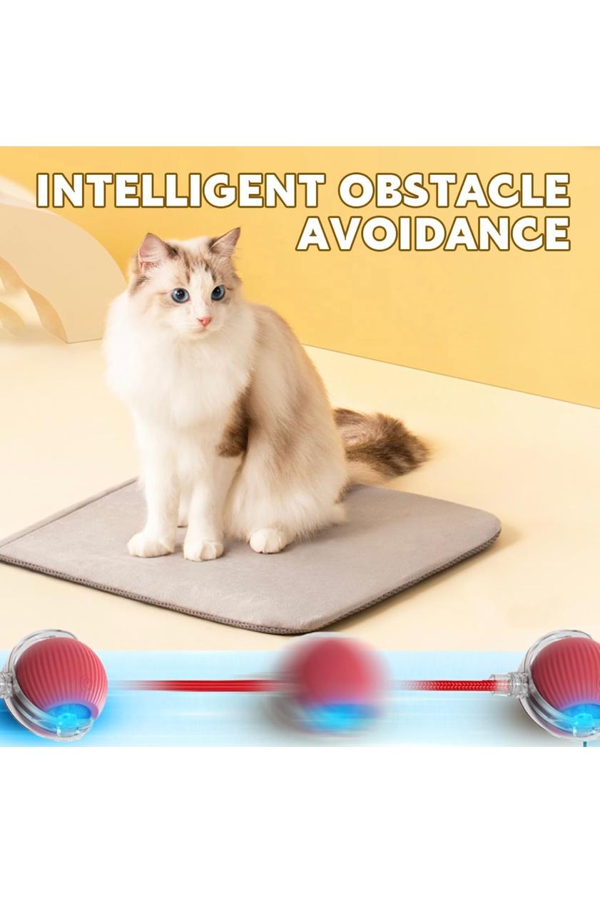 Interactive Cat Toys Ball, Automatic Cat Interactive Toy for Indoor Cats Fast Rolling on Carpet, Chirping & Motion Activate